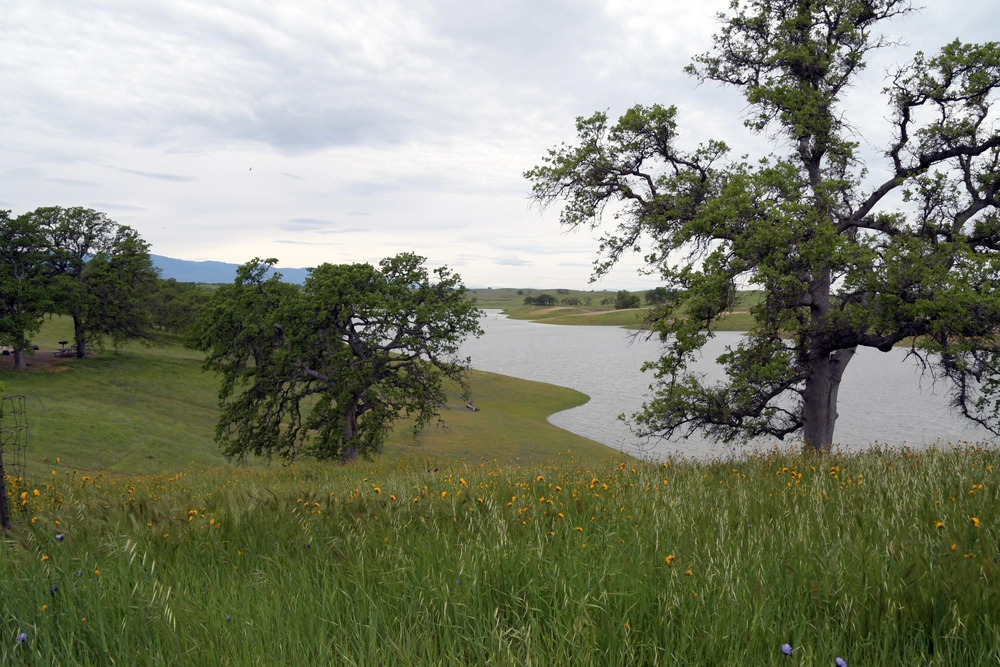 Black butte lake Orland CA