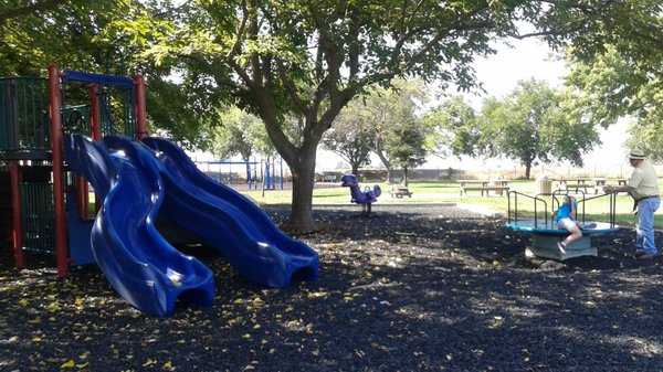 Jensen Park Willows CA